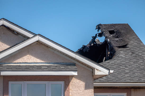 Top rated local Fire Damage Removal specialists in Plato, MN